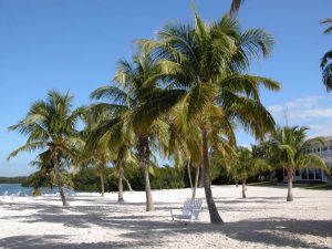 One of the beaches in South Florida