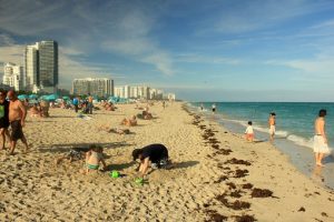 Miami beach is one of many great free things to do in Miami