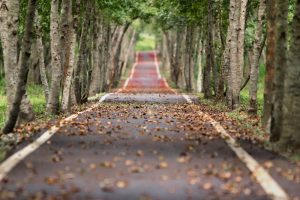 The thing here is simple, spring moves are expensive and winter moves aren't