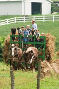 Children on a hay ride