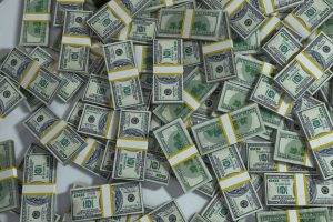 A lot of money; move to Florida, work hard, and this could be yours!