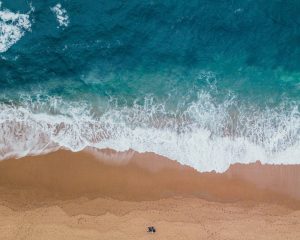 rent or buy in Sunny Isles Beach