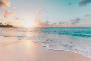 organize your move to Palm Beach County- a beach