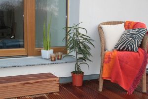 Plants on a terrace