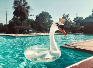 white swan floater in the pool