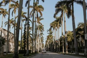 driving to Palm Beach to starting a new career in Florida