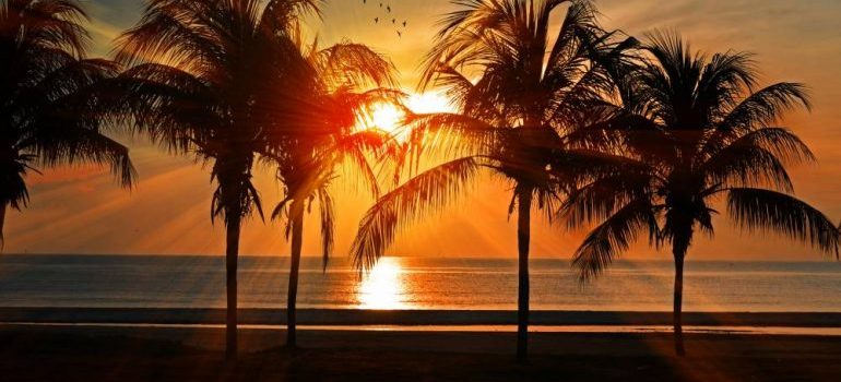 Moving to Miami Beach is an exciting chapter in your life.