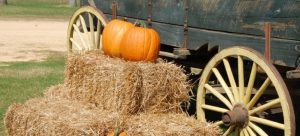 There are many events and festivals for children during the fall.