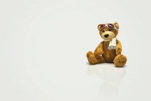 a teddy bear
