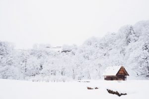 winter