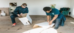 organize a move