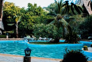 A swimming pool with lot of trees around
