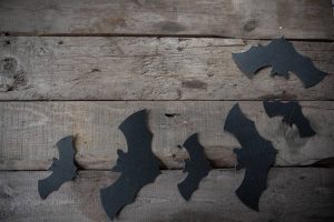 Cardboard bats on a wooden table