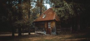 Wooden house in the forest