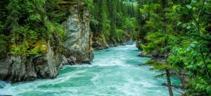 A river nearby one of the best Florida cities for nature lovers