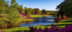 A peaceful river and flowers on the shore in one of the best Florida cities for nature lovers