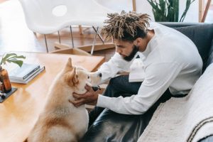 Male thinking about Hollywood FL guide to moving in with roommates while caressing his dog