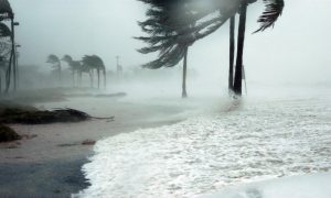 Storm hits the coast of Florida