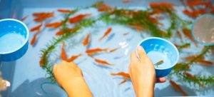 prepare an aquarium for moving