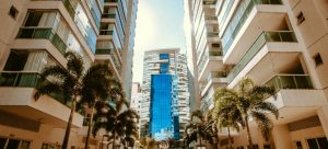 buildings and palms