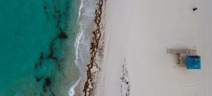beach from above