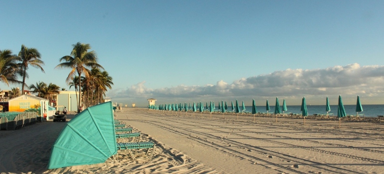a beach in Hollywood