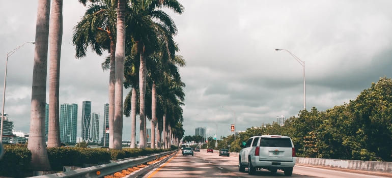 driving a car while thinking about the tips for choosing the perfect Florida neighborhood