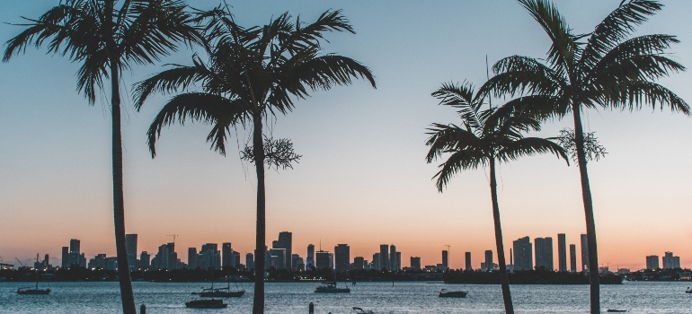 looking at the sunset in Florida while thinking about the tips for choosing the perfect Florida neighborhood