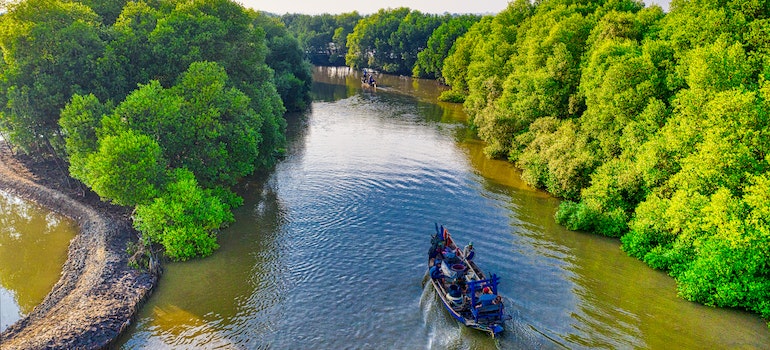 Blue boat on a river in the middle of a forest