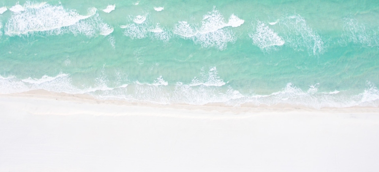 the ocean and the beach