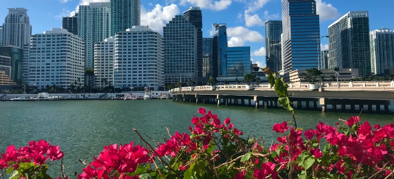 a view of Miami in an art lovers guide to Miami in 24 hours