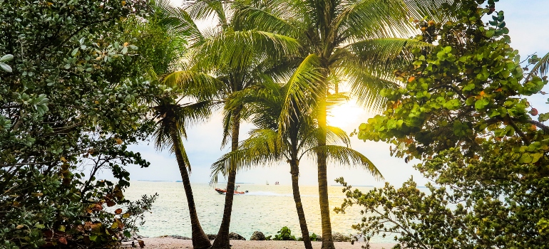 a beach in one of the top FL places for single women