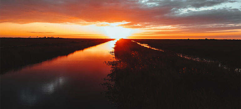 The Everglades Holiday Park as one of the best cheap or free things to do in Florida