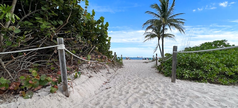 sandy beach