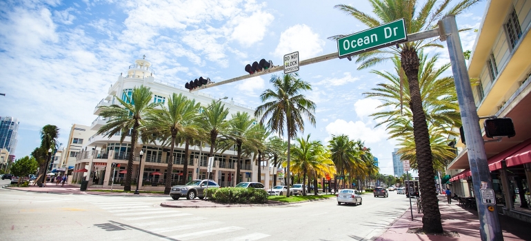 moving your business to Miami Beach in a car