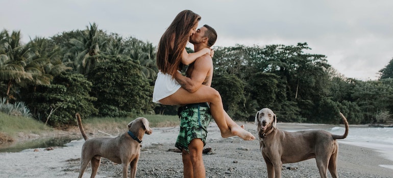 pets at a beach