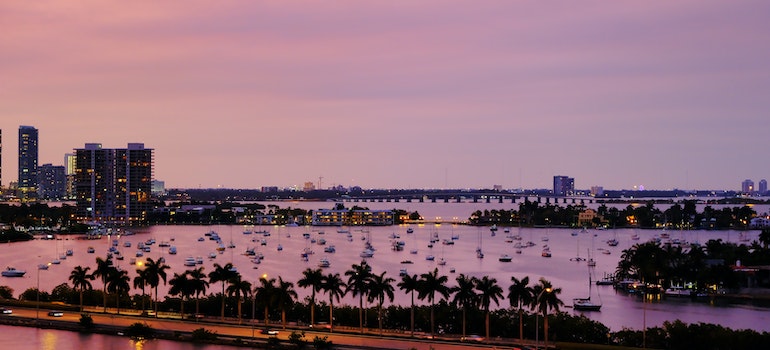 miami panorama