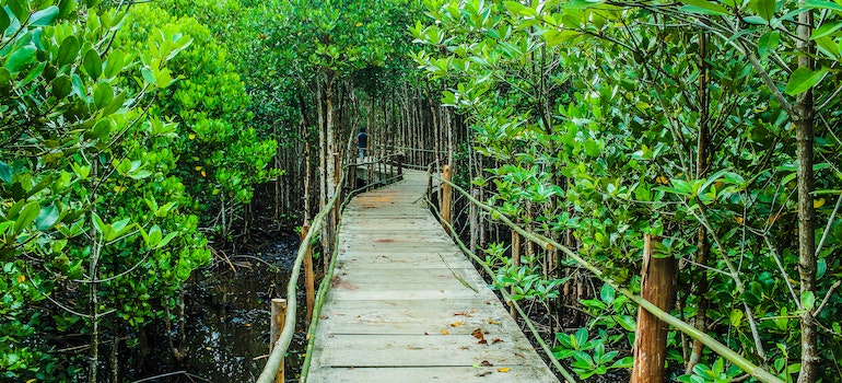 walking through park as one of the best activities for seniors in Miami