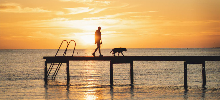 sunset in one of the most dog-friendly cities in South Florida