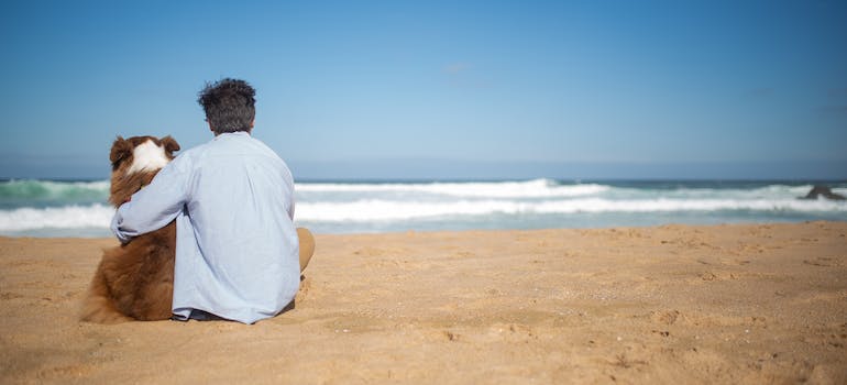 a man and a dog on a beach