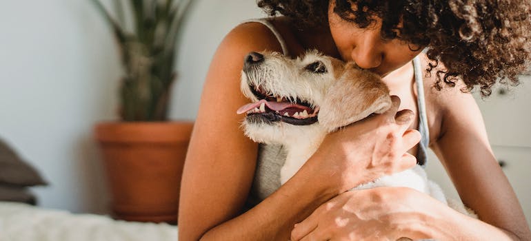 hugging after moving with your dog to Florida
