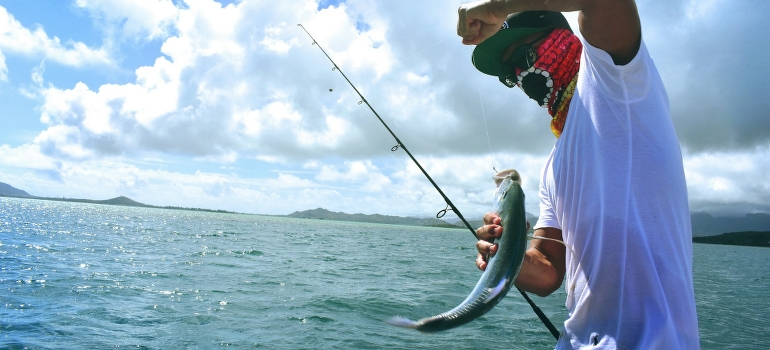 fisherman catching fish