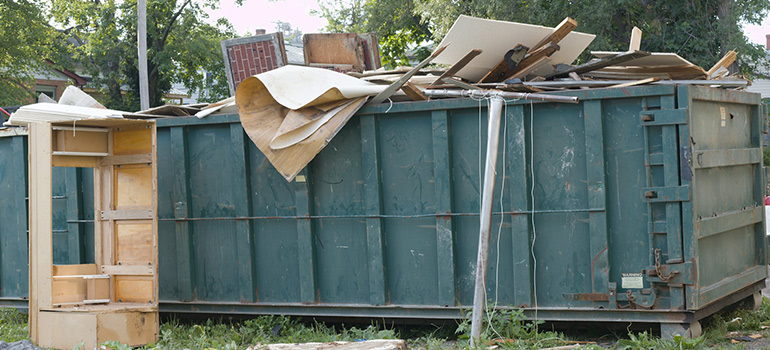 using dumpster while decluttering your backyard