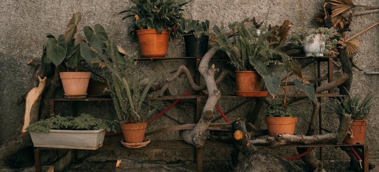 putting pots on shelves while decluttering your backyard