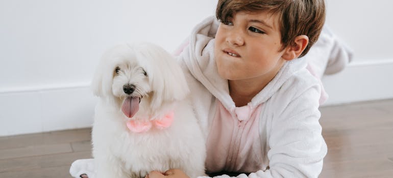 boy and a dog