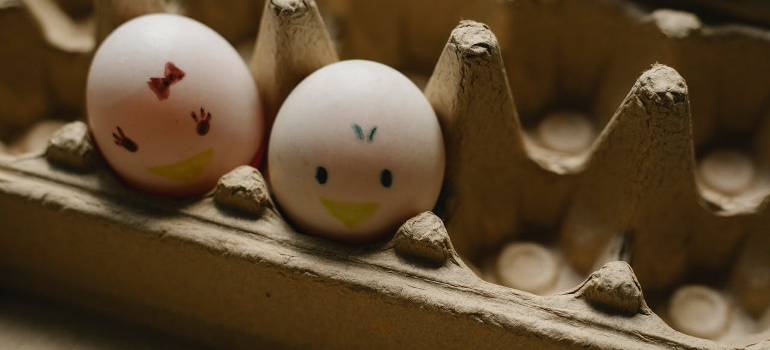 using egg cartons as one of the unconventional house-packing strategies