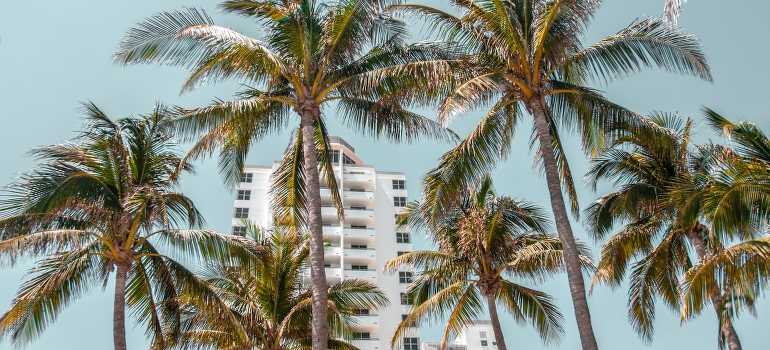 Buildings in Hollywood FL