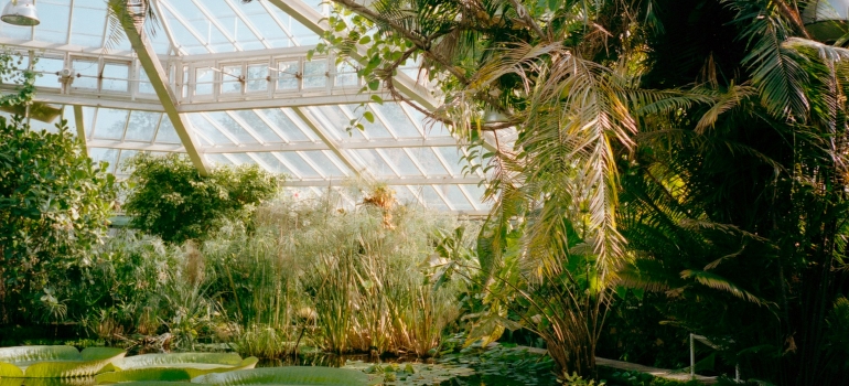 Flamingo Gardens