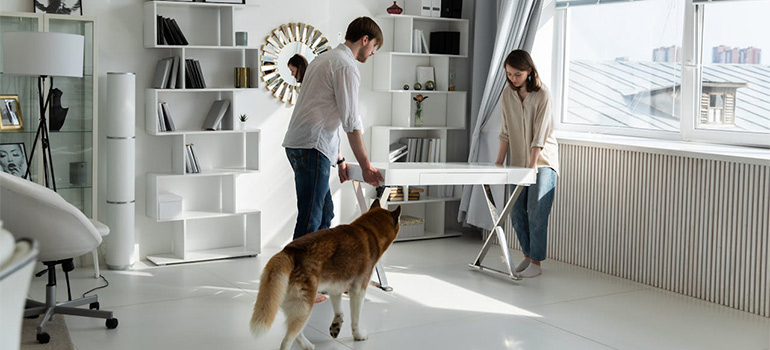 setting up furniture