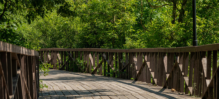 visiting park after moving from Weston to Davie